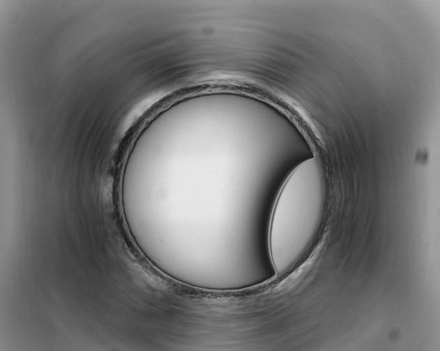 X0000102371066200808011018