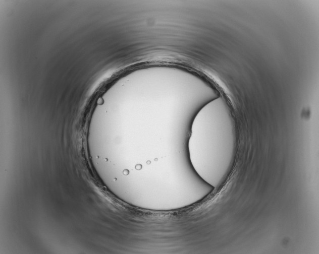 X0000102371067200808011018
