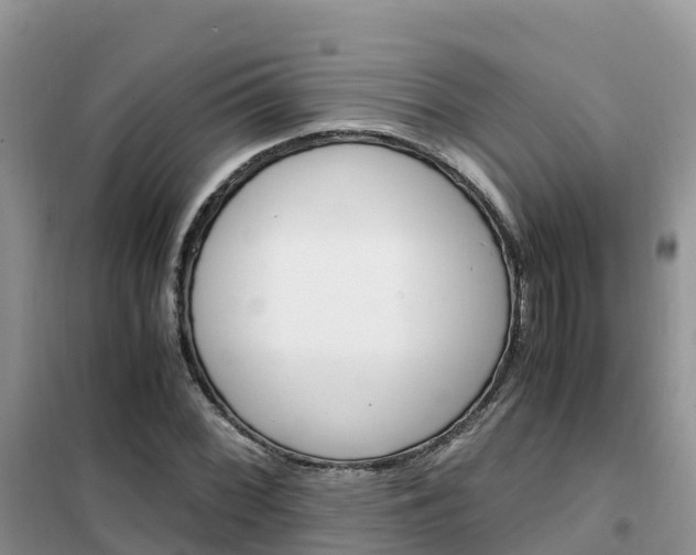 X0000102371068200808011018