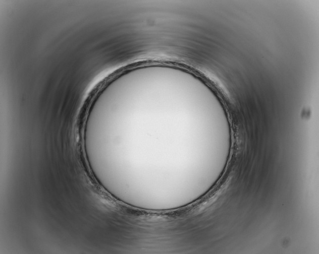 X0000102371070200808011018