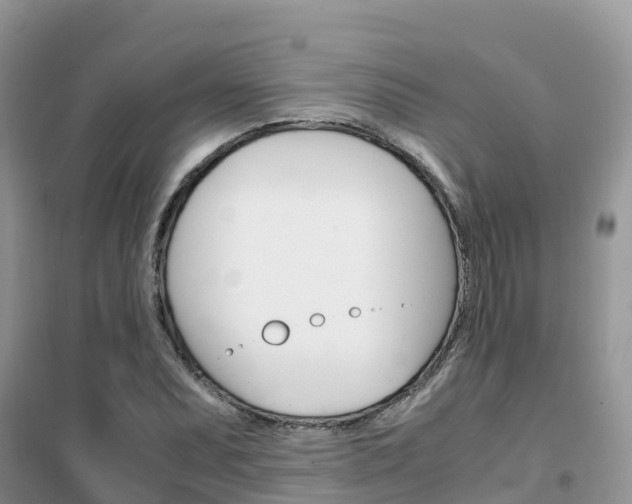 X0000102371071200808011018