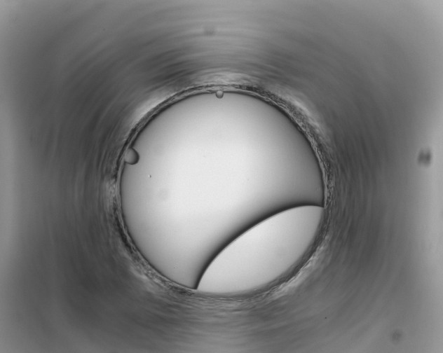 X0000102371073200808011018