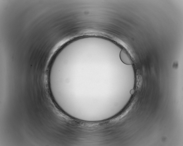 X0000102371074200808011018