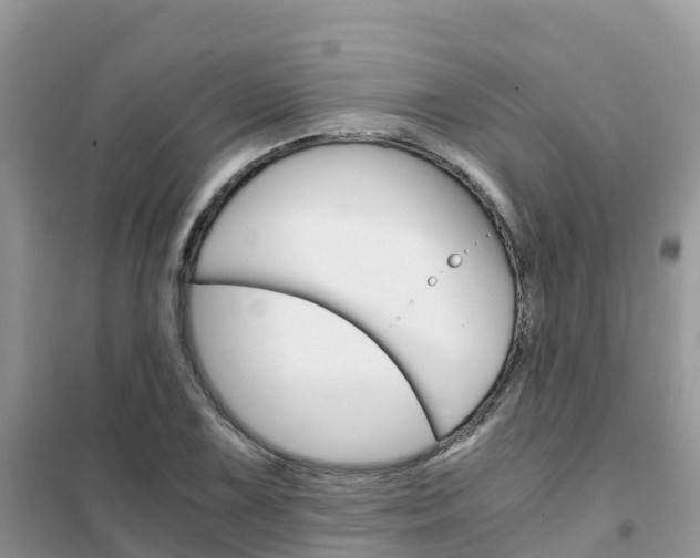 X0000102371075200808011018