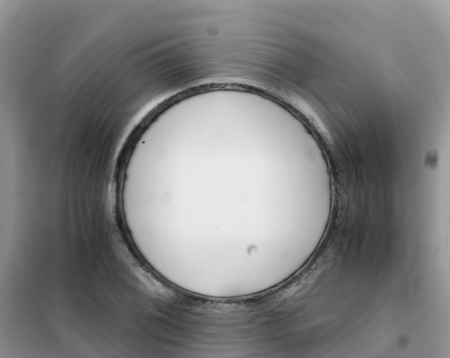 X0000102371076200808011018
