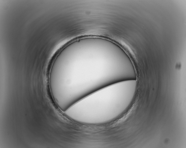 X0000102371077200808011018