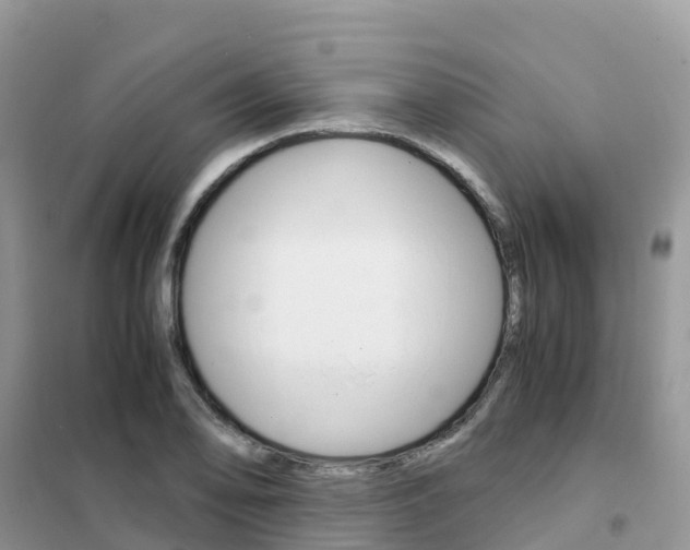 X0000102371078200808011018