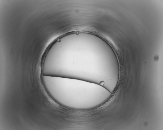 X0000102371079200808011018