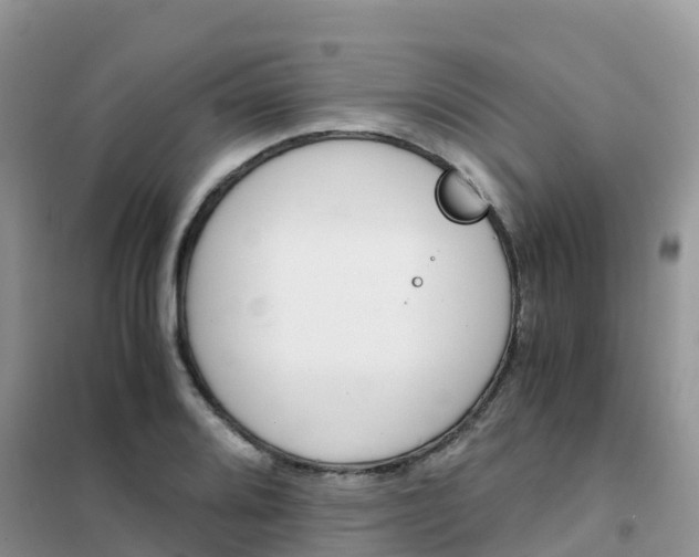 X0000102371080200808011018