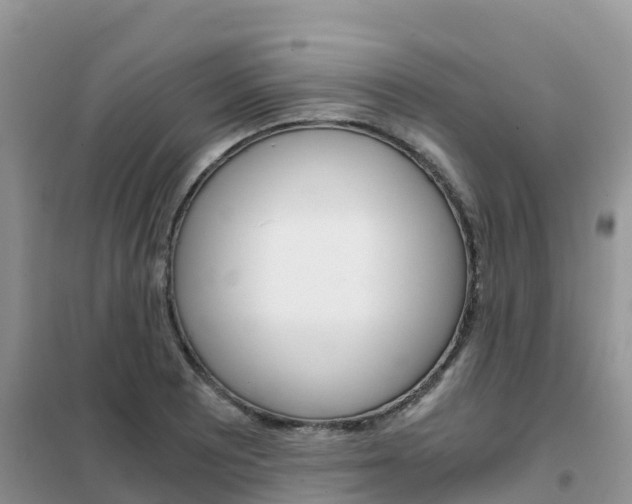 X0000102371081200808011018