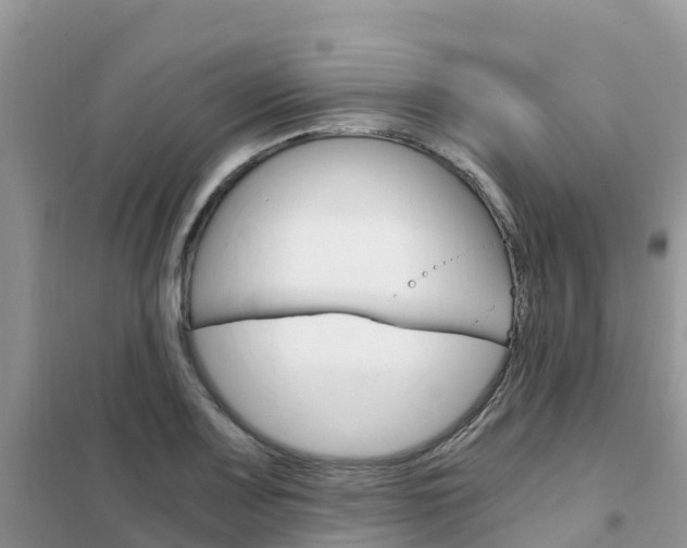 X0000102371083200808011018