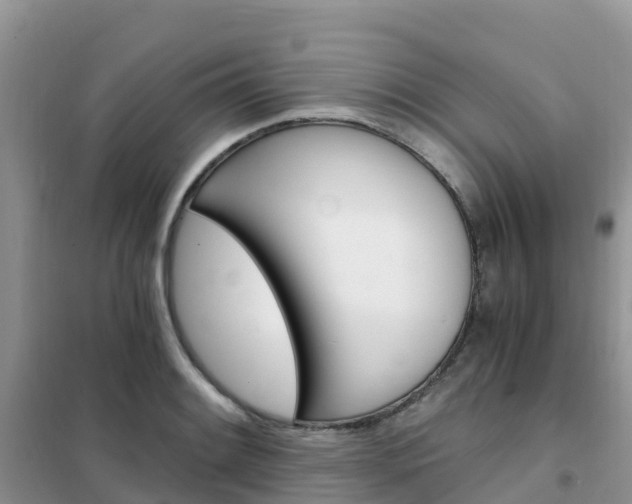 X0000102371084200808011018