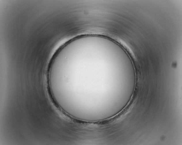 X0000102371085200808011018