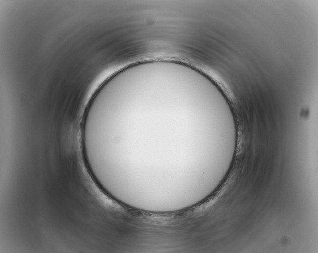 X0000102371086200808011018