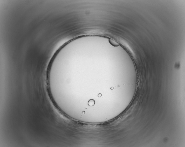 X0000102371087200808011018