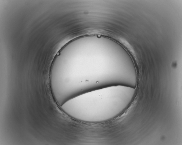 X0000102371089200808011018