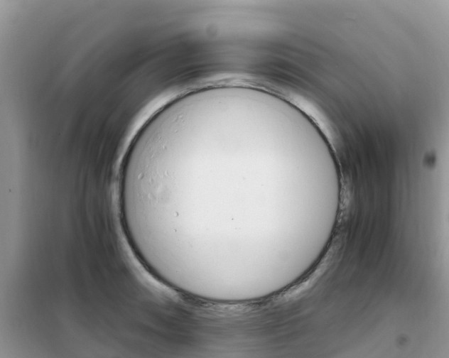 X0000102371090200808011018
