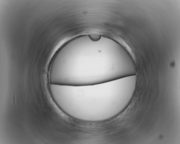 X0000102371091200808011018