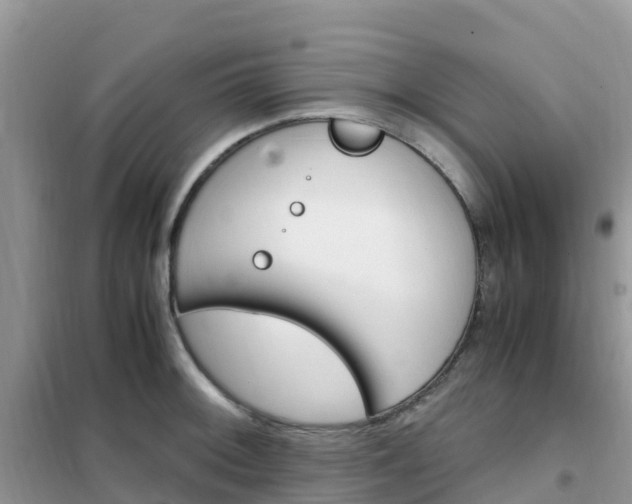 X0000102371092200808011018