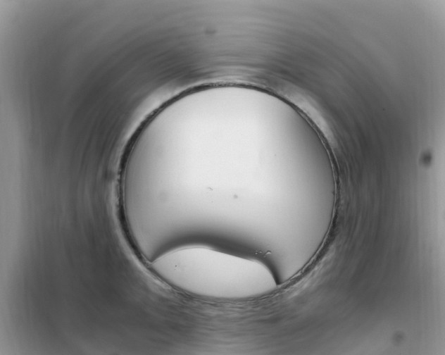 X0000102371093200808011018