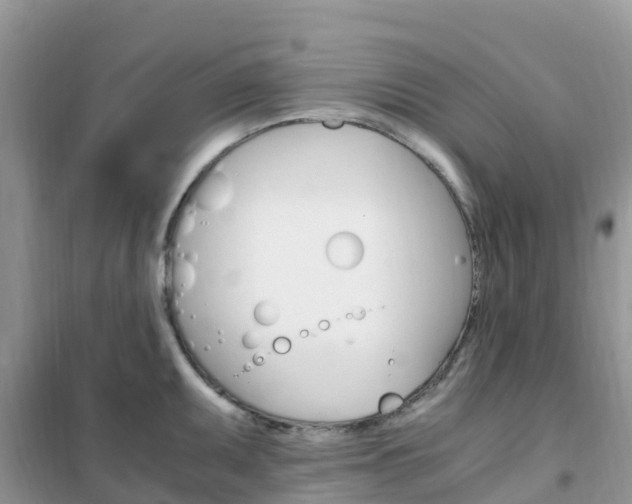 X0000102371095200808011018