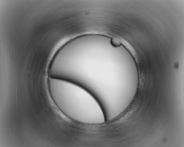 X0000102371096200808011018