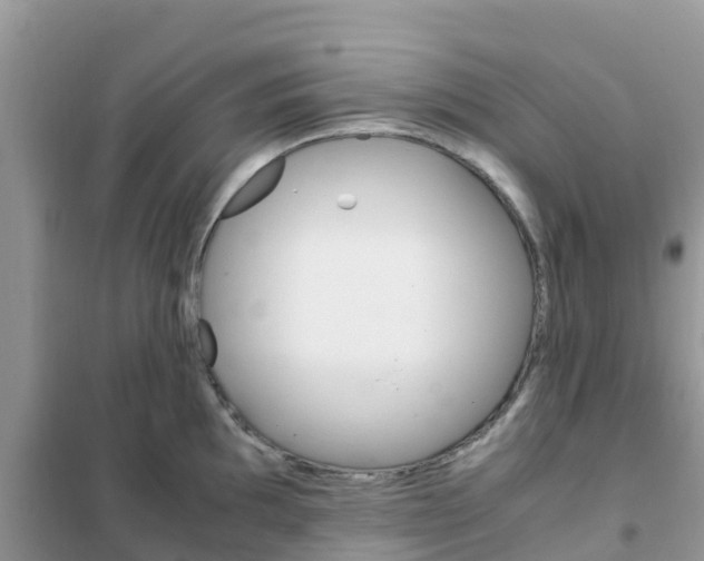 X0000102371097200808011018
