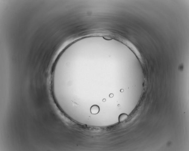 X0000102371099200808011018