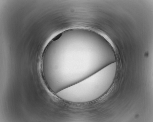 X0000102371101200808011018
