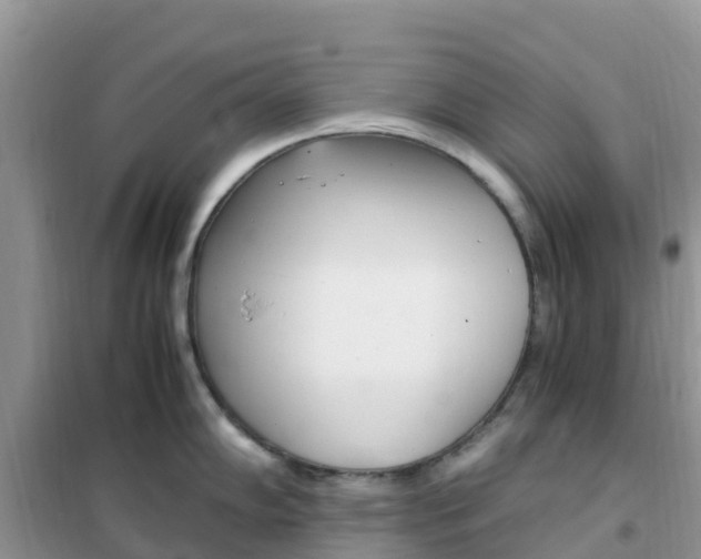 X0000102371102200808011018