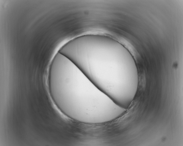 X0000102371103200808011018