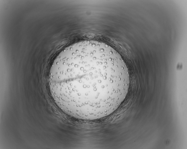 X0000102371105200808011017