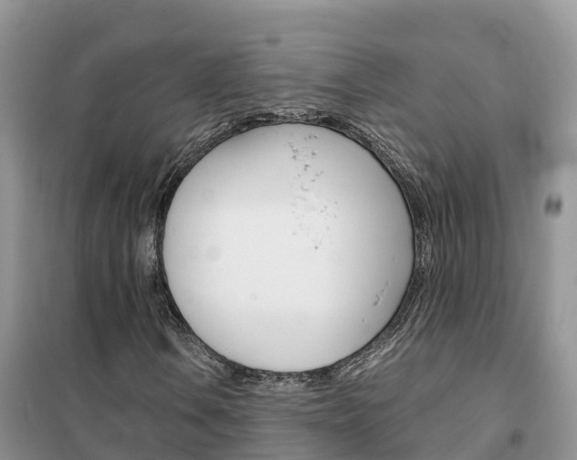 X0000102371106200808011017