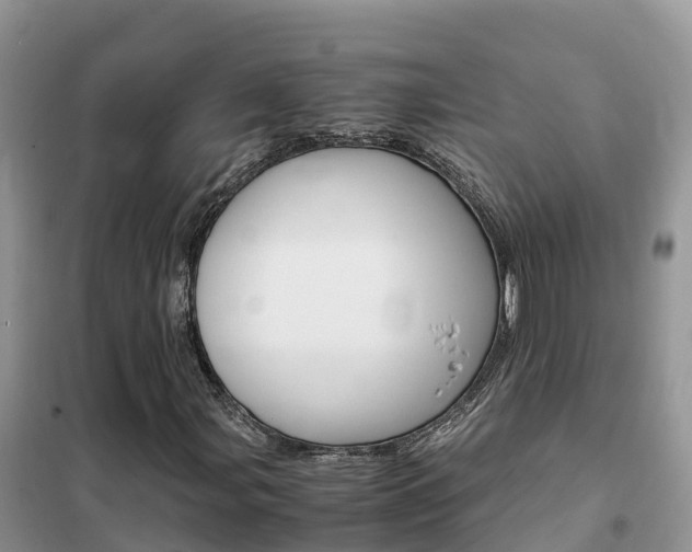 X0000102371107200808011017