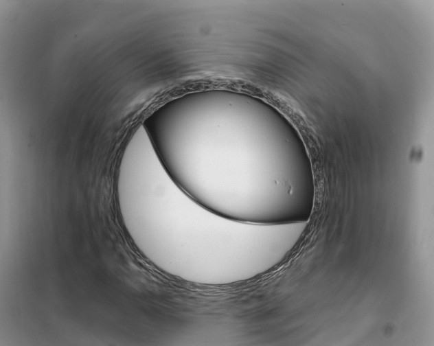 X0000102371110200808011017