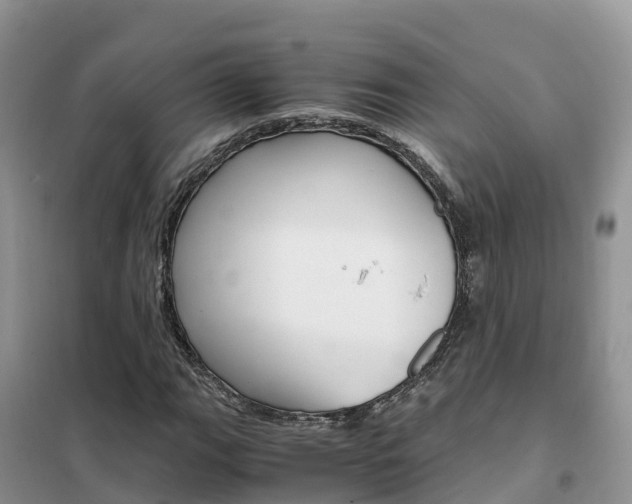 X0000102371111200808011017
