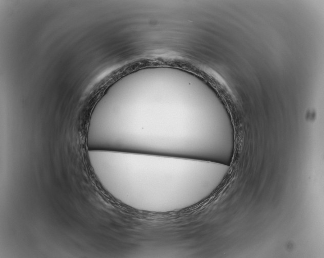 X0000102371112200808011017