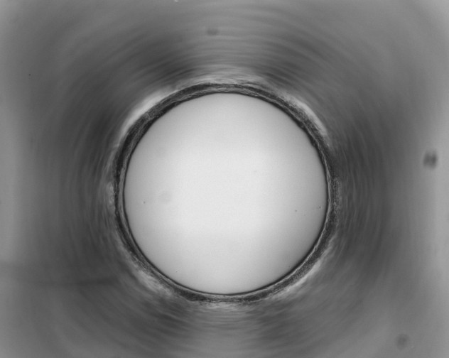 X0000102371114200808011017