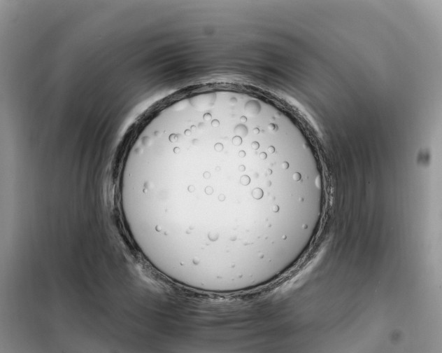 X0000102371117200808011017