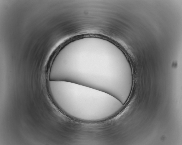 X0000102371118200808011017