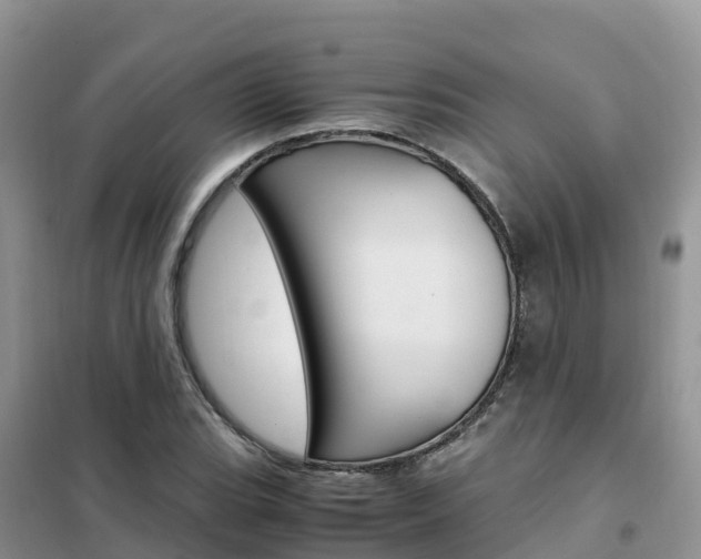 X0000102371119200808011017