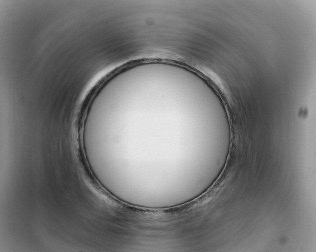 X0000102371120200808011017