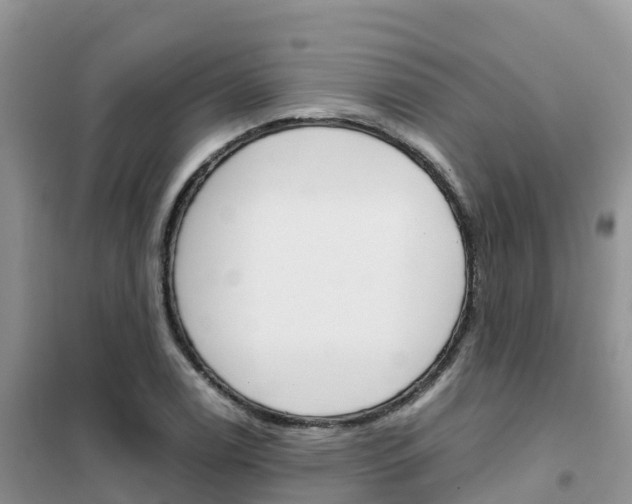 X0000102371122200808011017