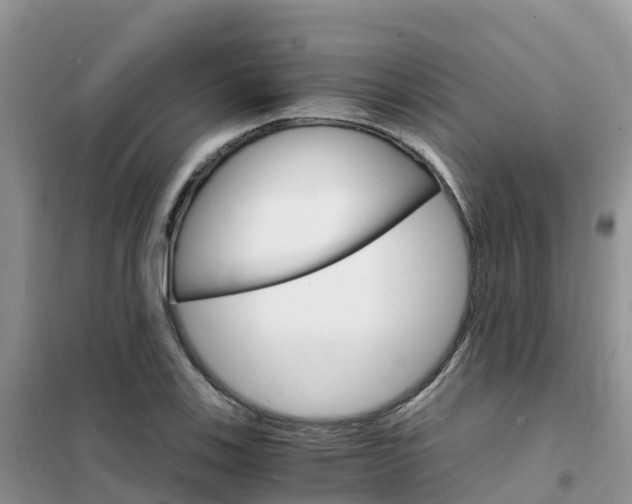 X0000102371123200808011017