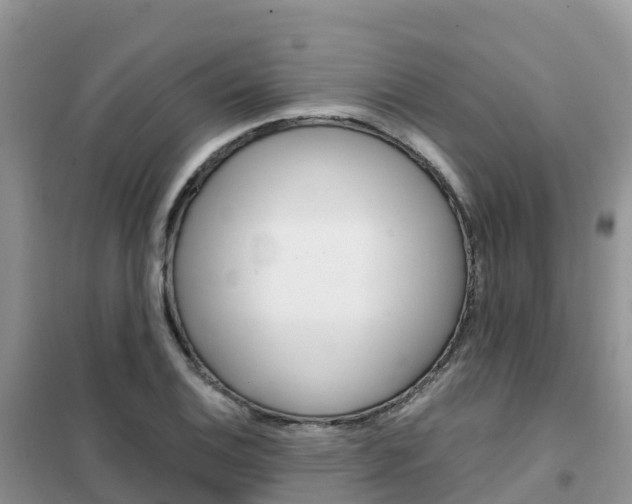 X0000102371124200808011017