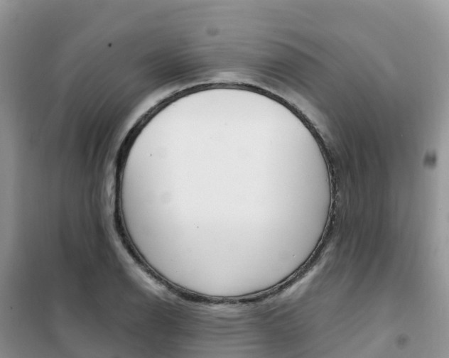 X0000102371126200808011017