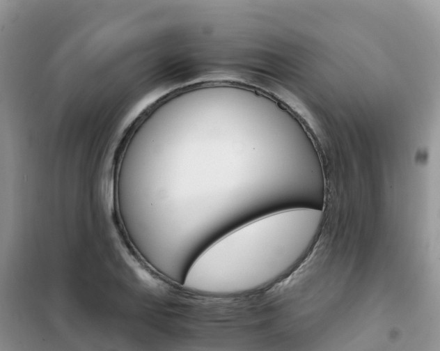 X0000102371127200808011017