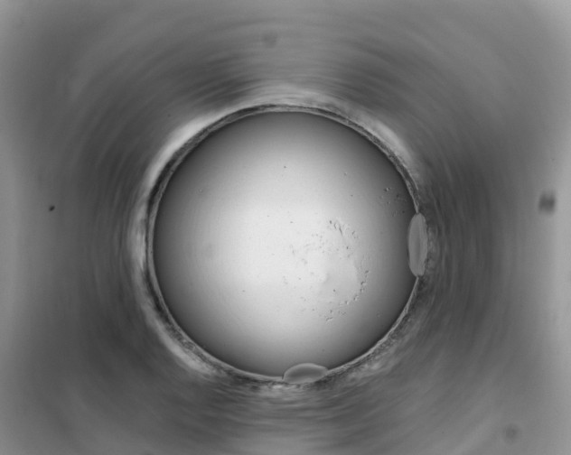 X0000102371128200808011017