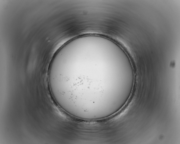 X0000102371129200808011017