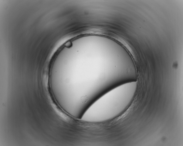 X0000102371131200808011017